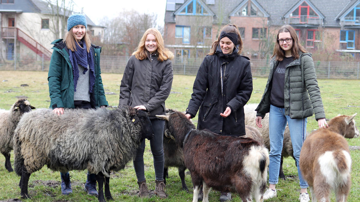 Ein Freiwilliges Ökologisches Jahr Bei Der Hamburger Klimaschutzstiftung Auf Gut Karlshöhe